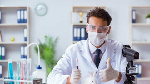 Jobs in demand after Chemical Engineering Study